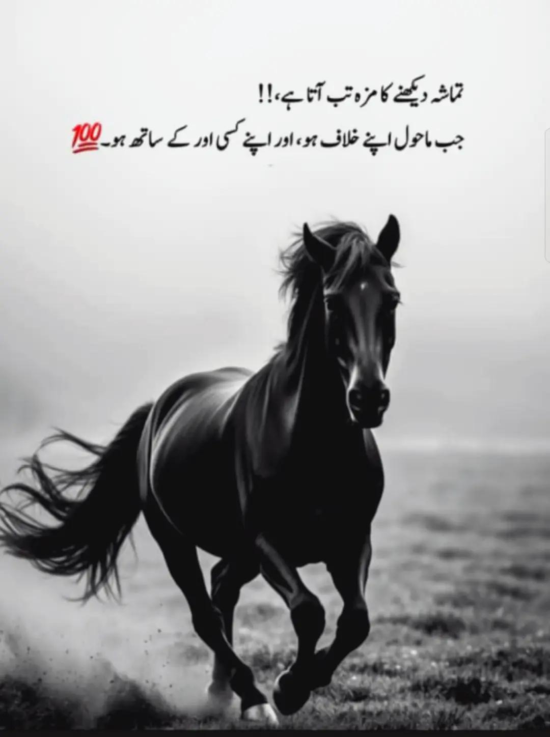 @kanwal