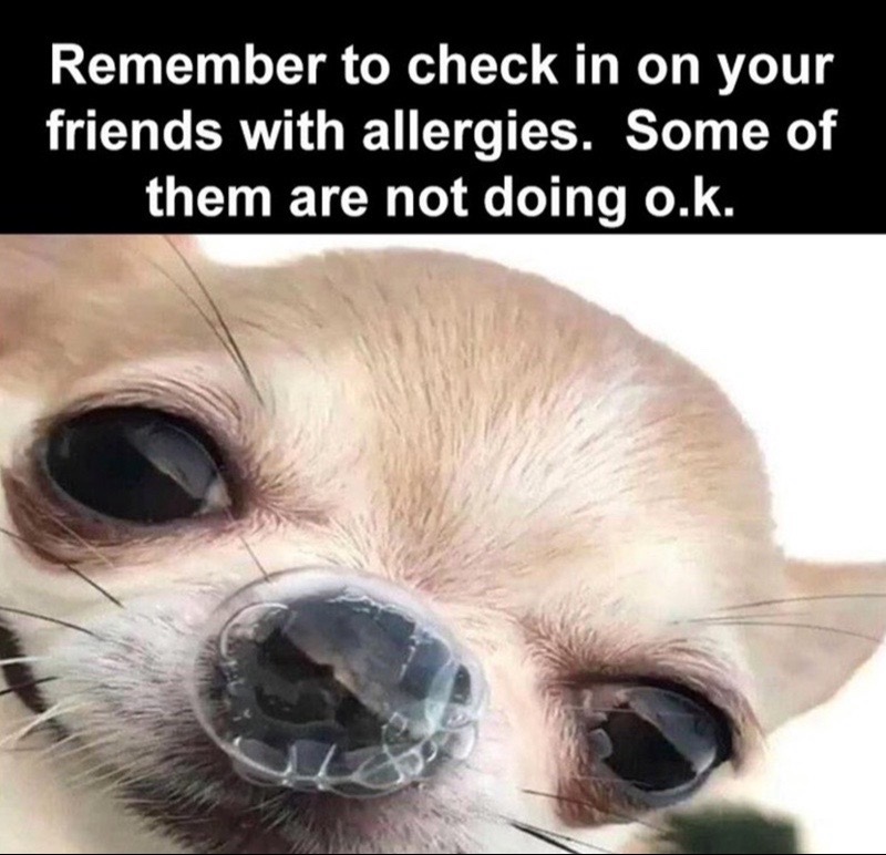 @4GottenByChoice