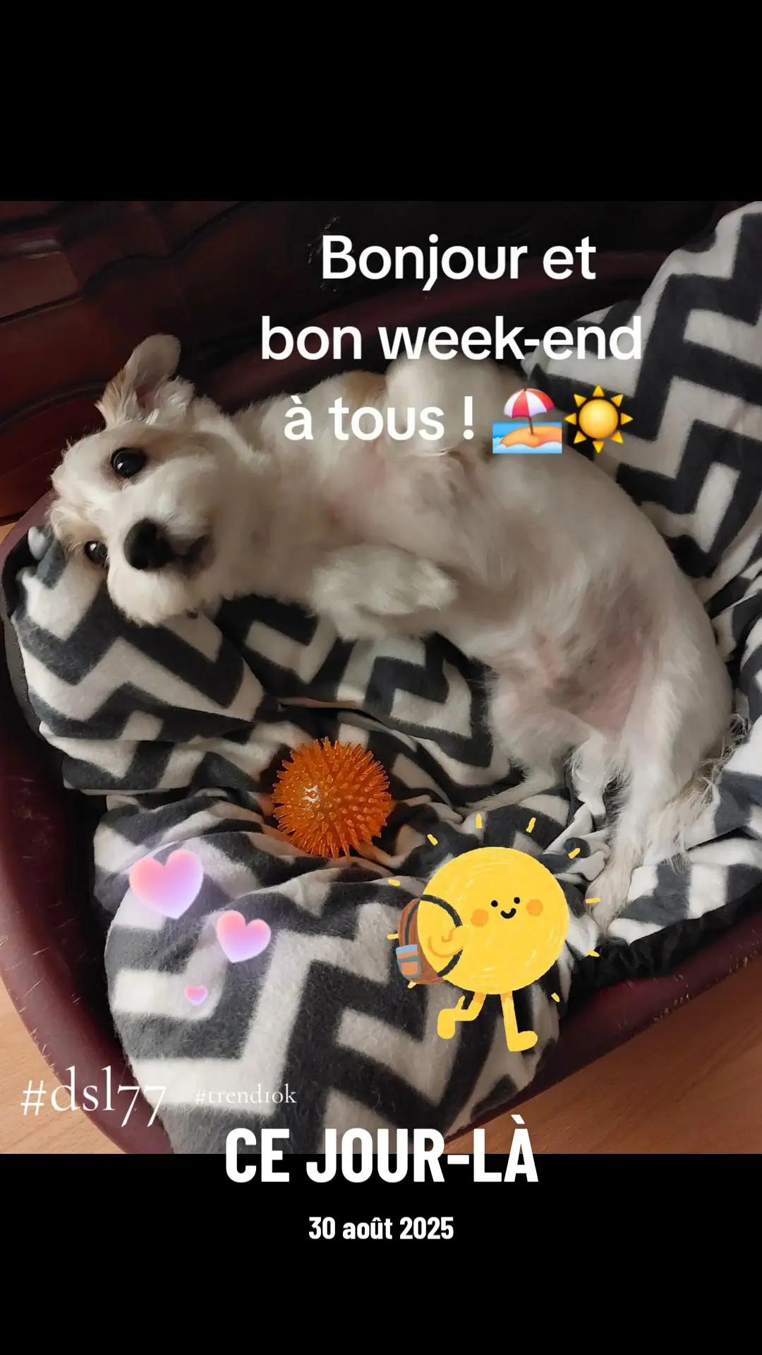 @Marie 👩&zwj;🦳 et Jolicoeur🐶🐾