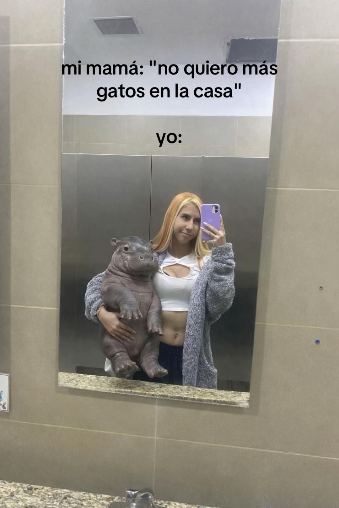@soff1.kitty