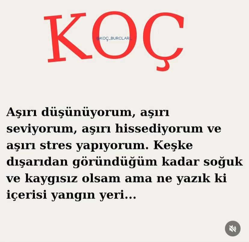 @kocburcu6