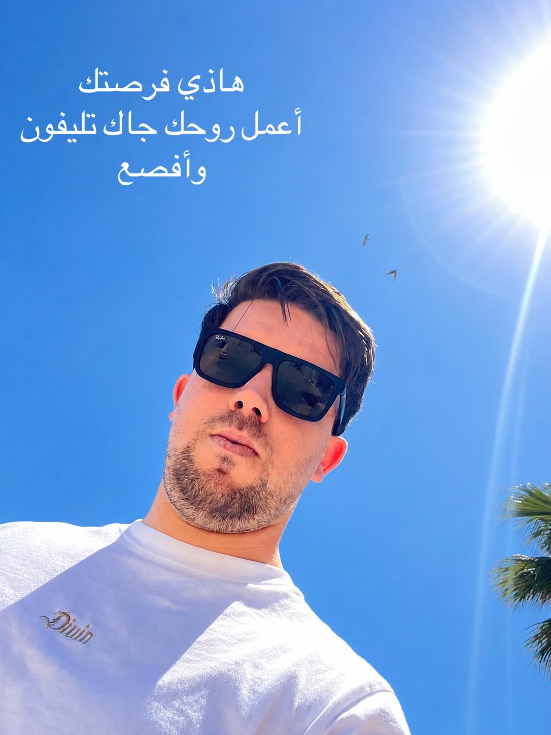 @Yassin belarbi