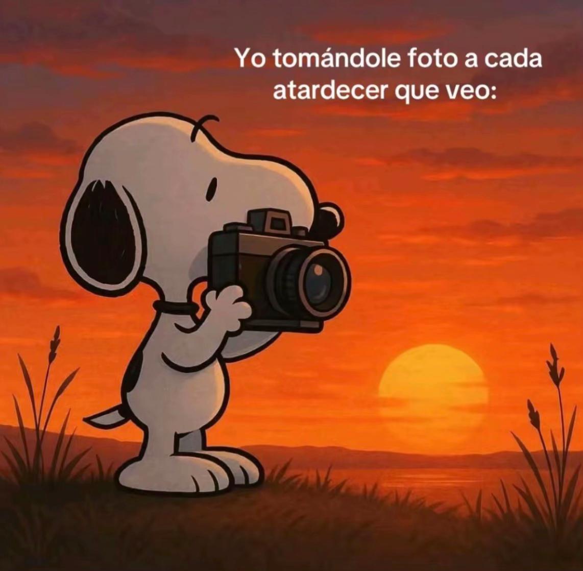 @BALLESTEROS ๐ง๐ปโ๏ธ๐ง