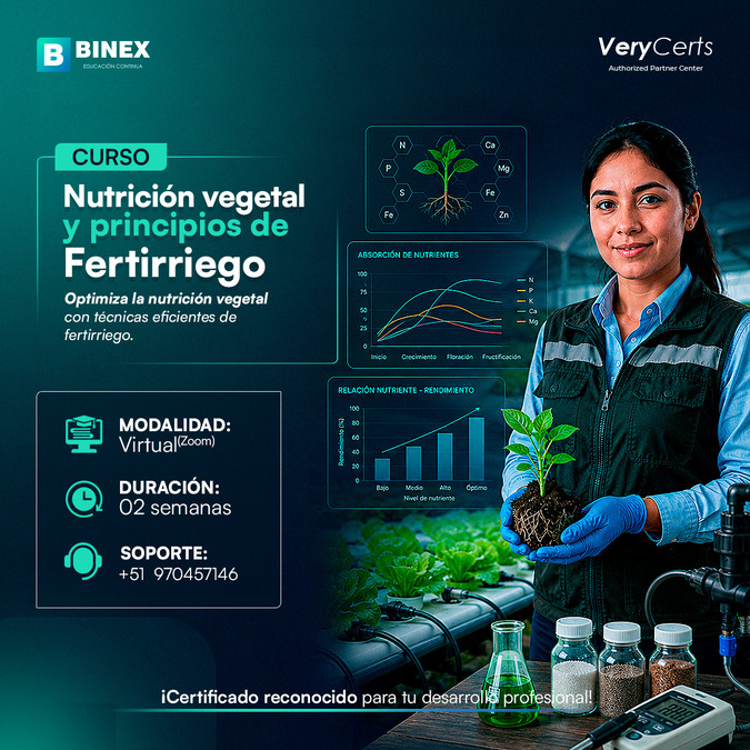 @BINEX Educación Continua