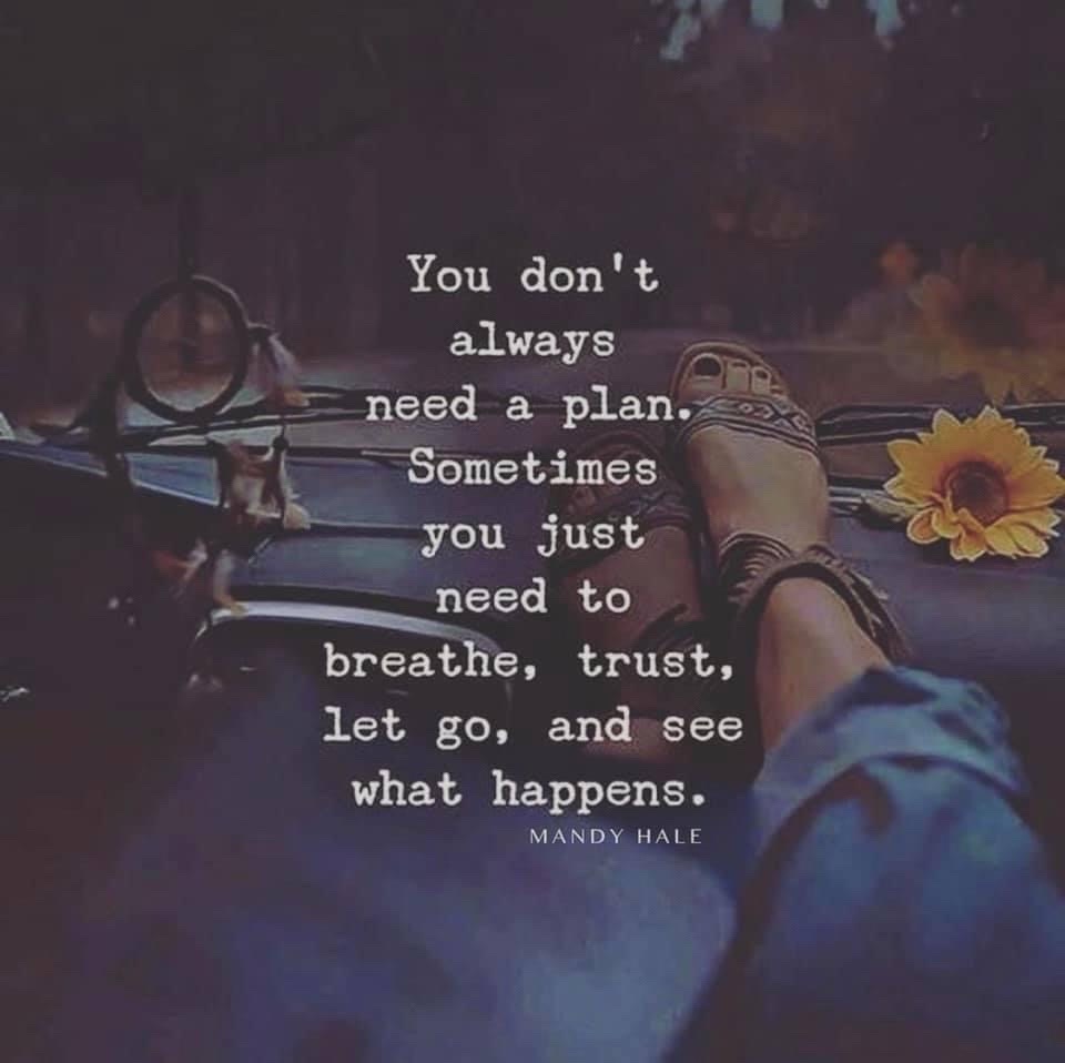@Tracy Vargo1968