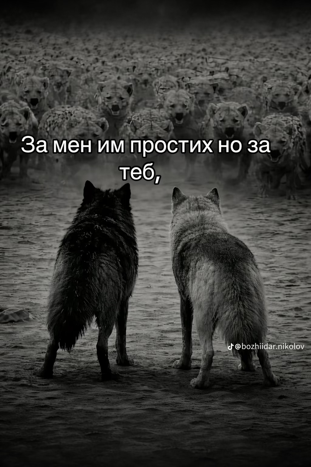 @Нуши Р.