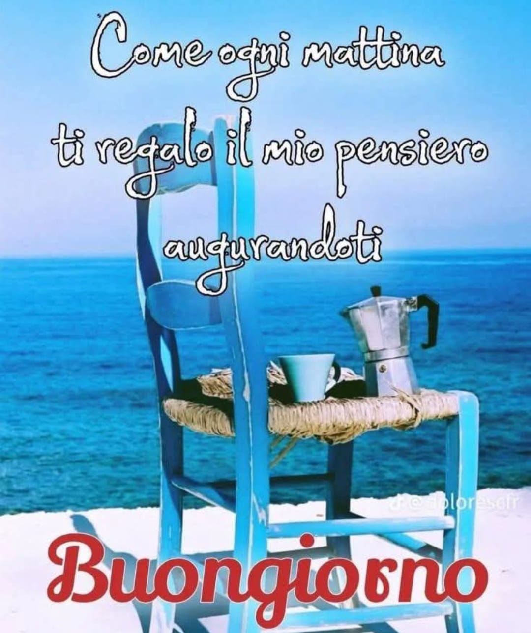 @🌹Zia.Lella.La.Rinascita🌹