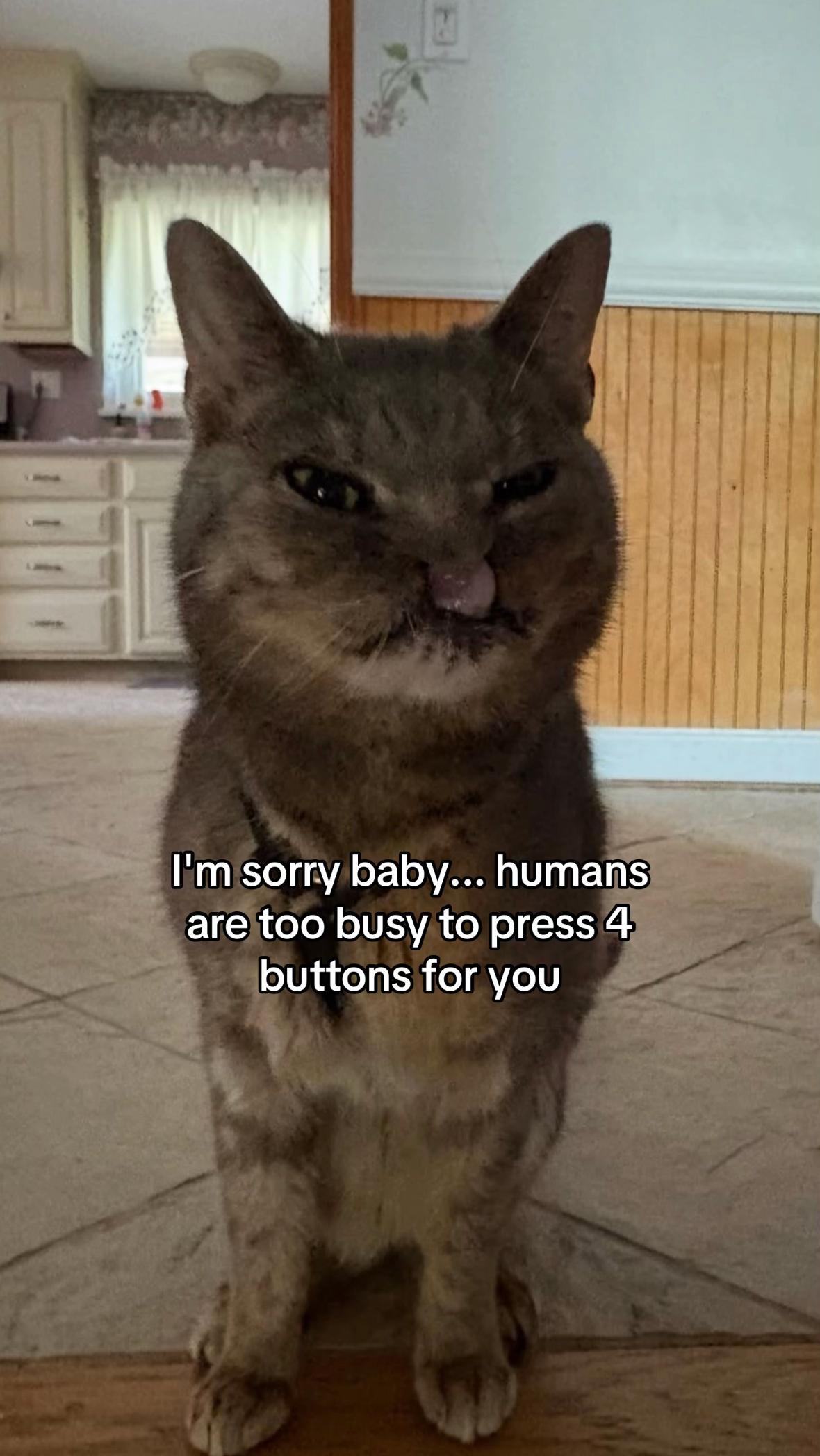 @Hope for Kindness