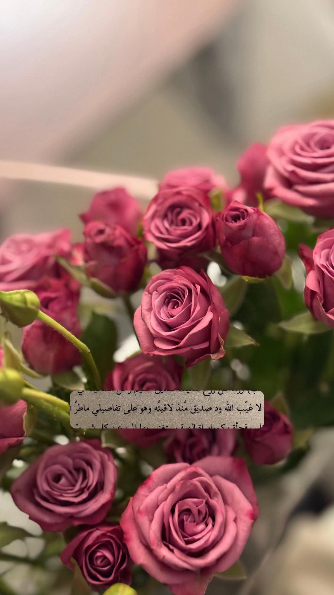 @WALAA 🌾