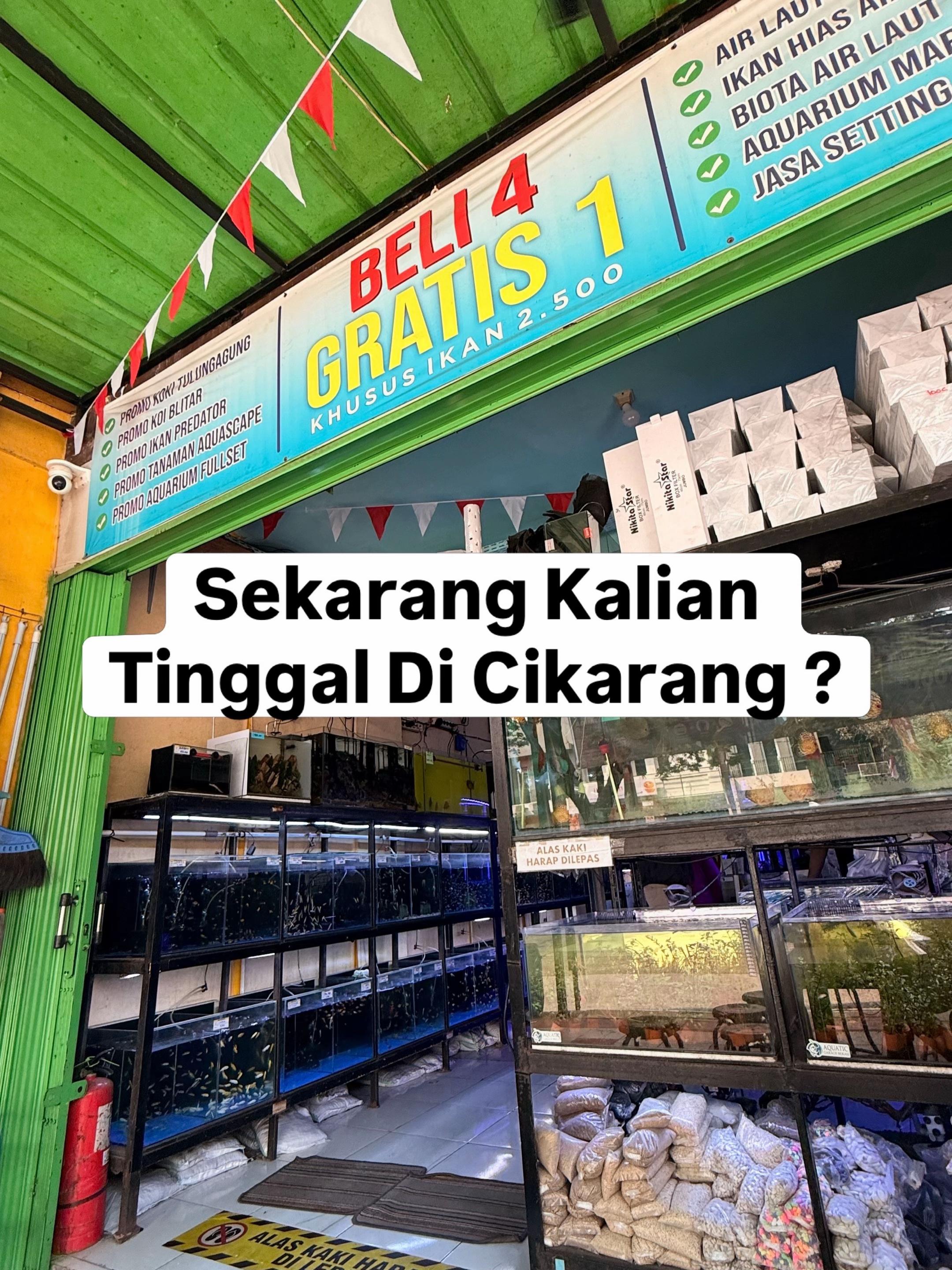 @Aquatic Garage Bekasi