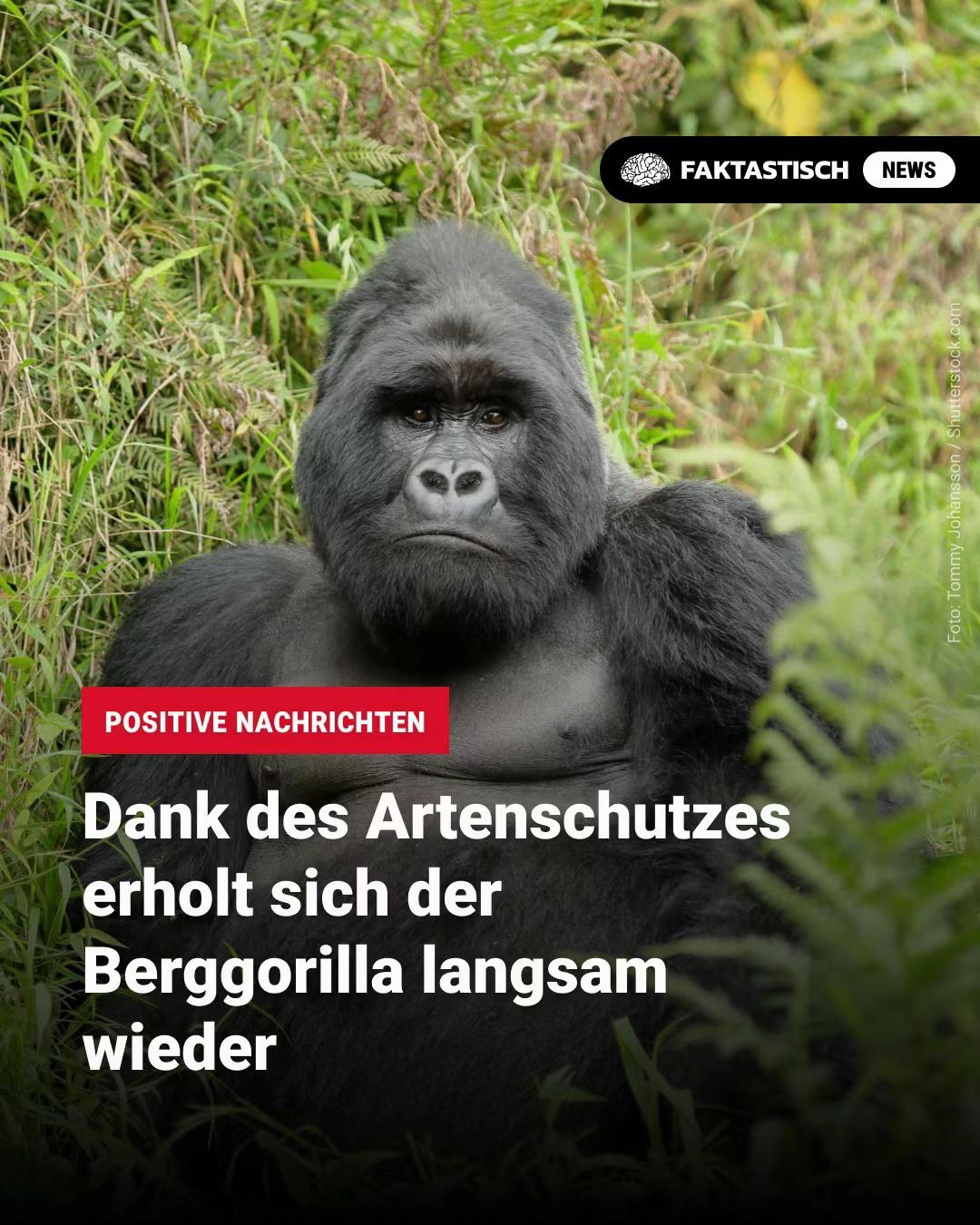 @Faktastisch