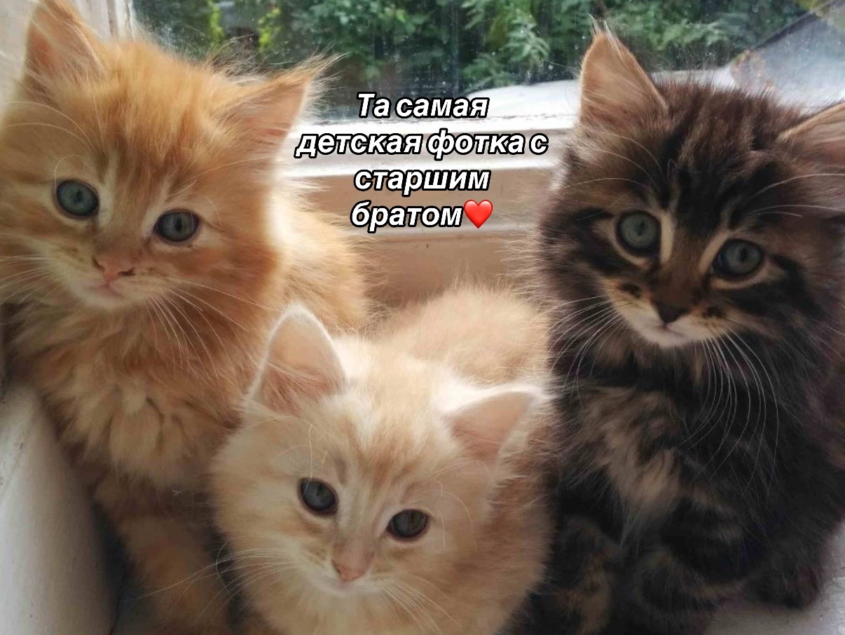 @kpbkv_g