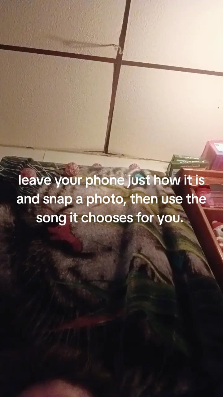@P&alpha;мɛℓ&alpha; ℓɛɛ