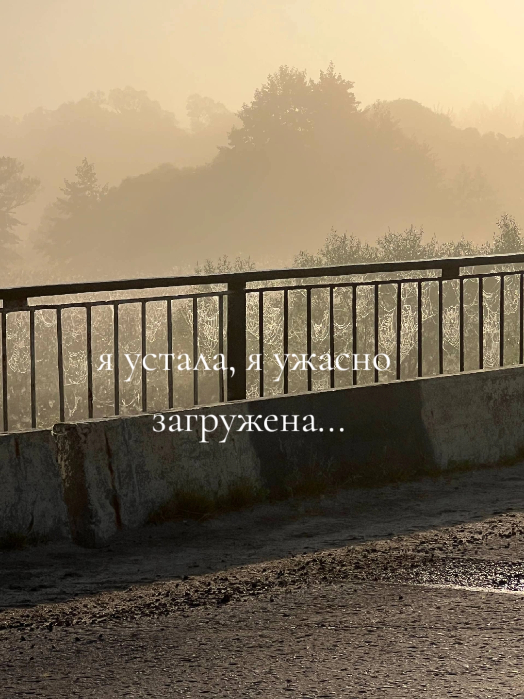 @www.vika.www