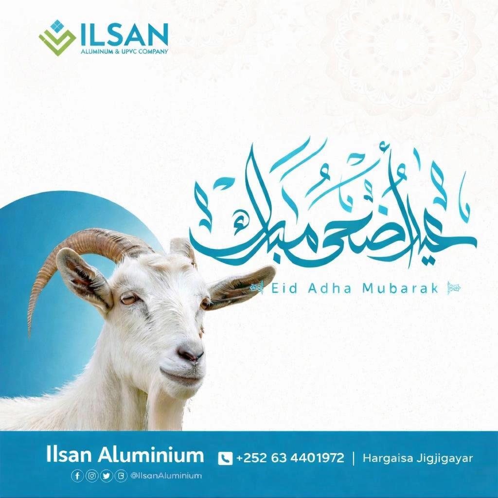 @ILSAN Company