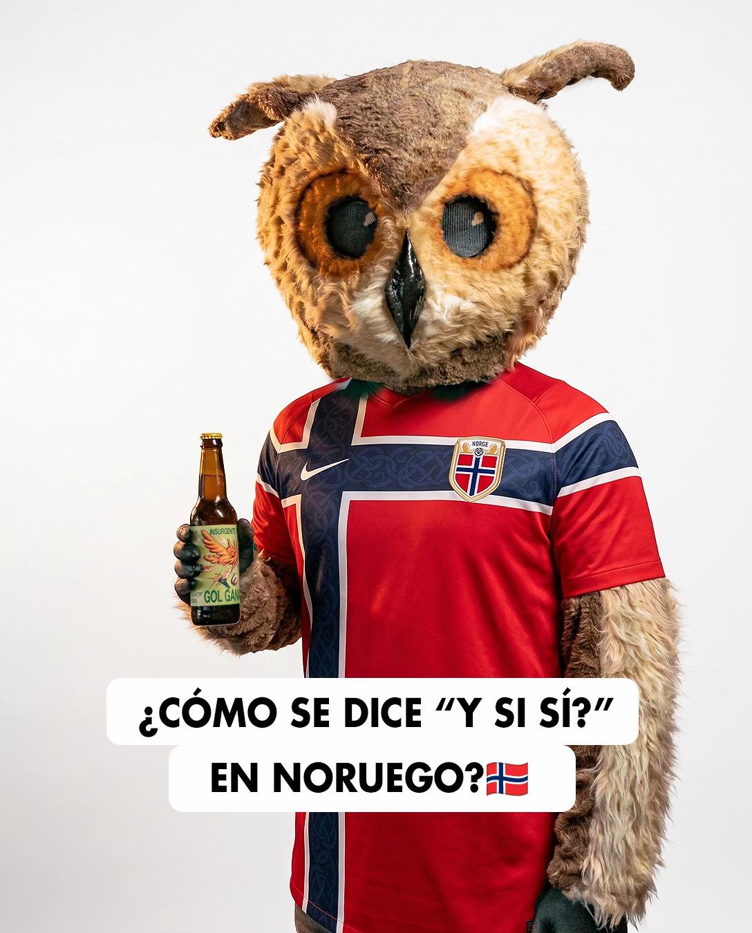 @Cerveza Insurgente