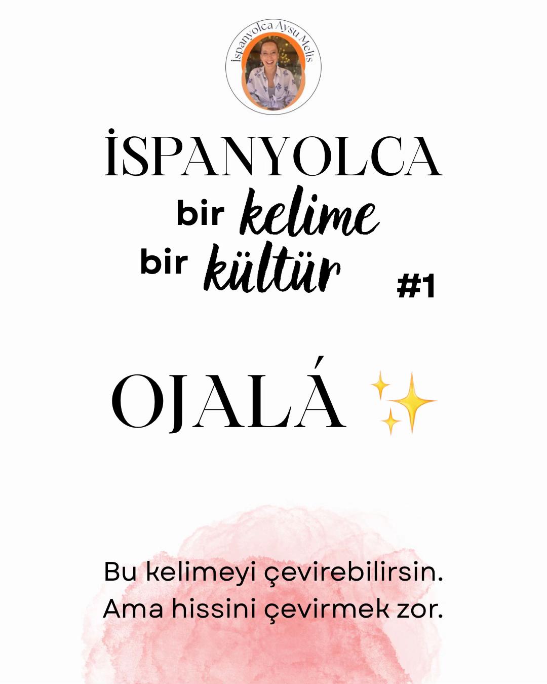 @aysu melis