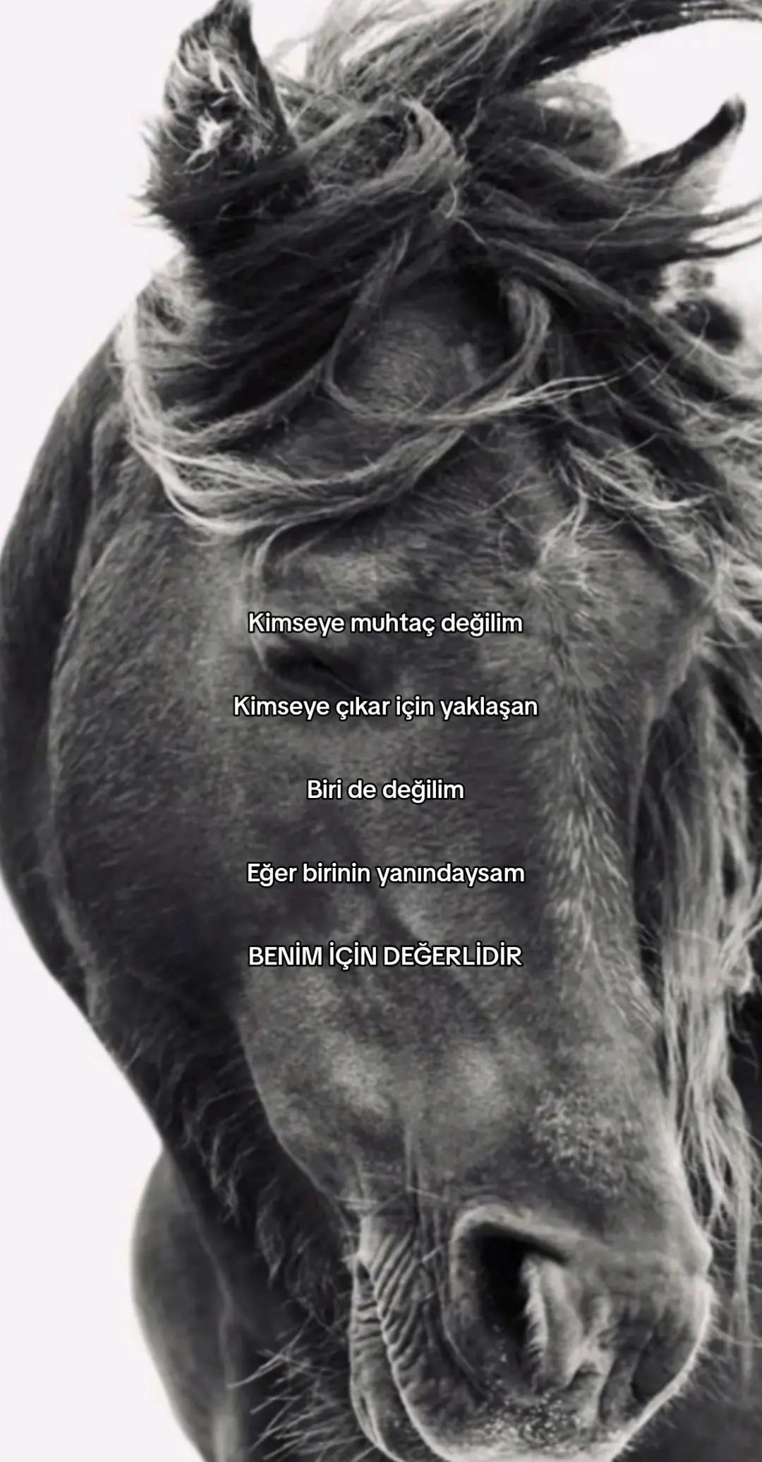@Emir Asaf