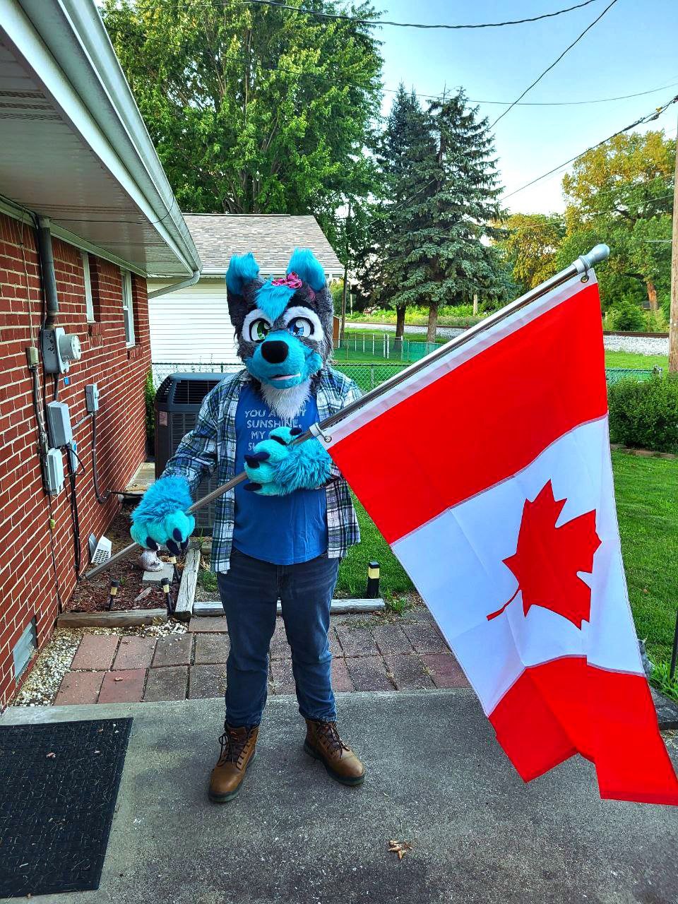 @Savi Wolf ๐ MFF