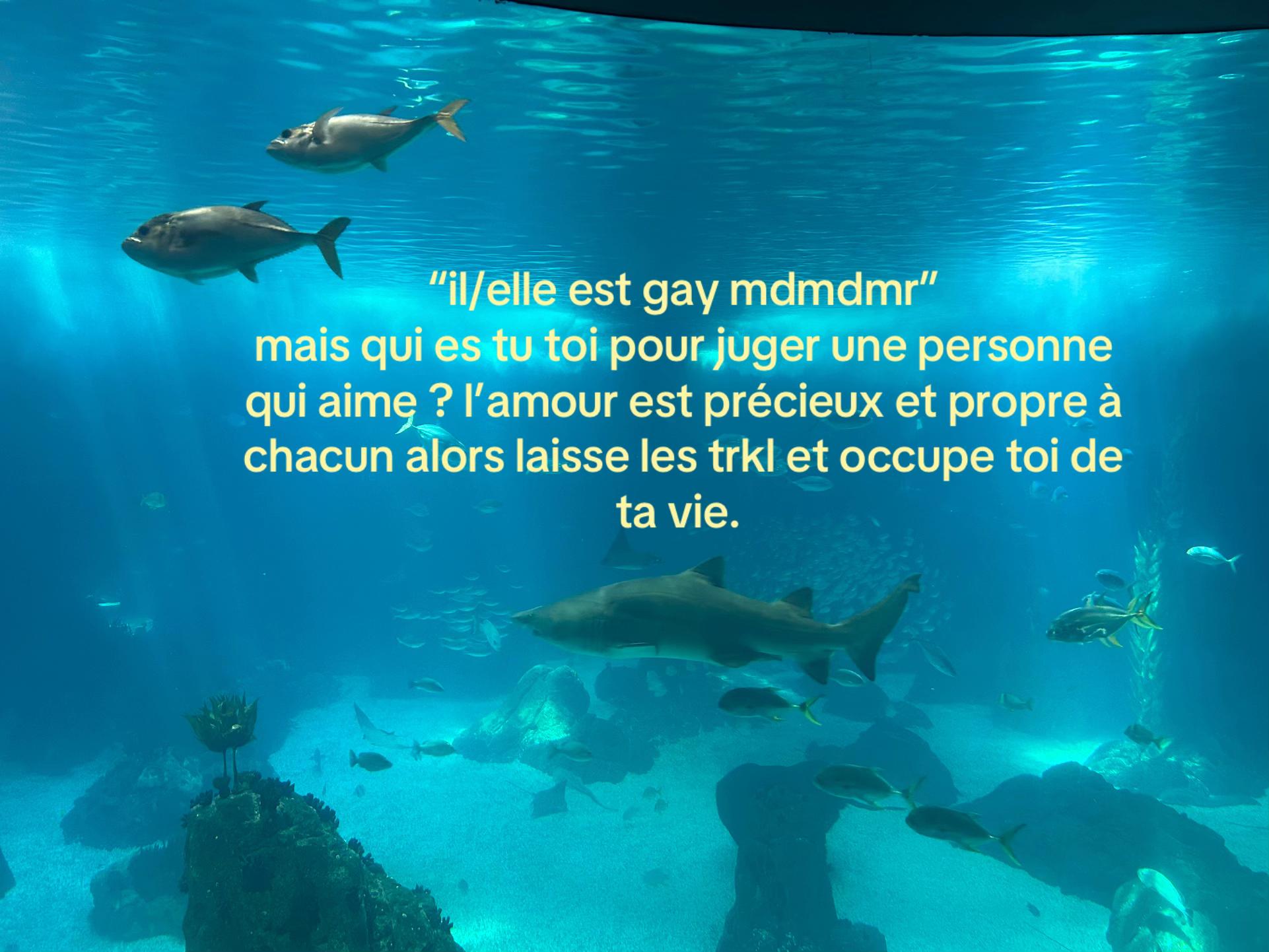 @erreur de parcours