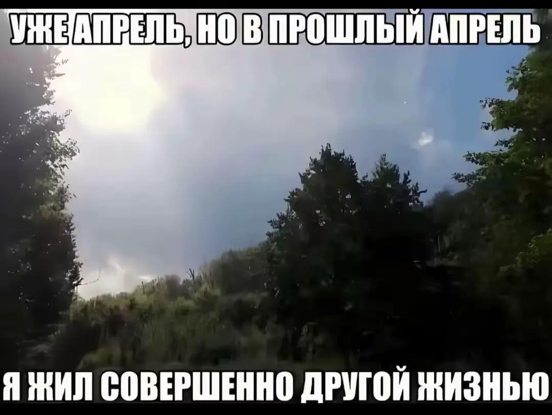 @Рюико (￣﹃￣)