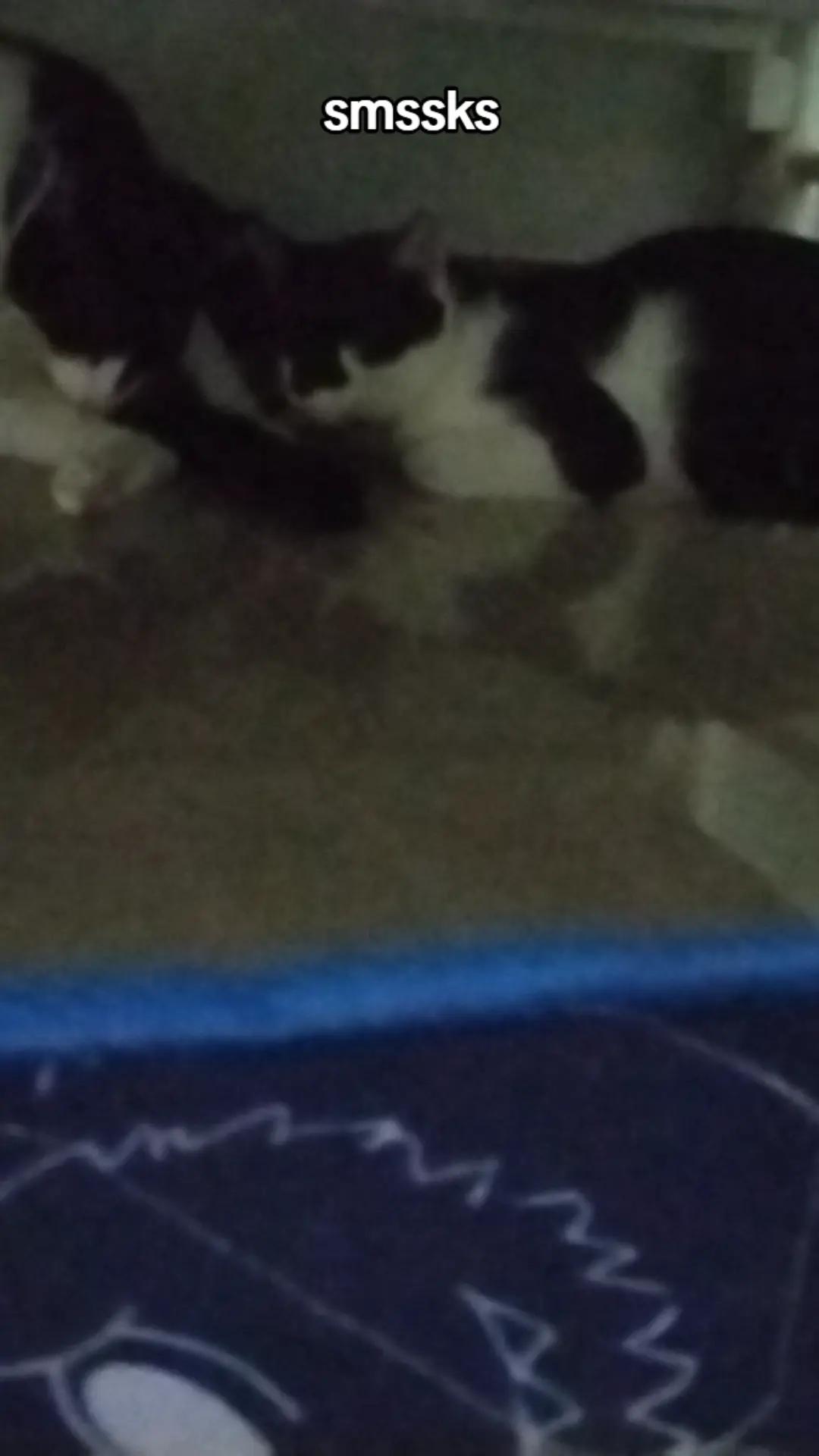 @๐๐๐ฃ ๐ฃ๐๐