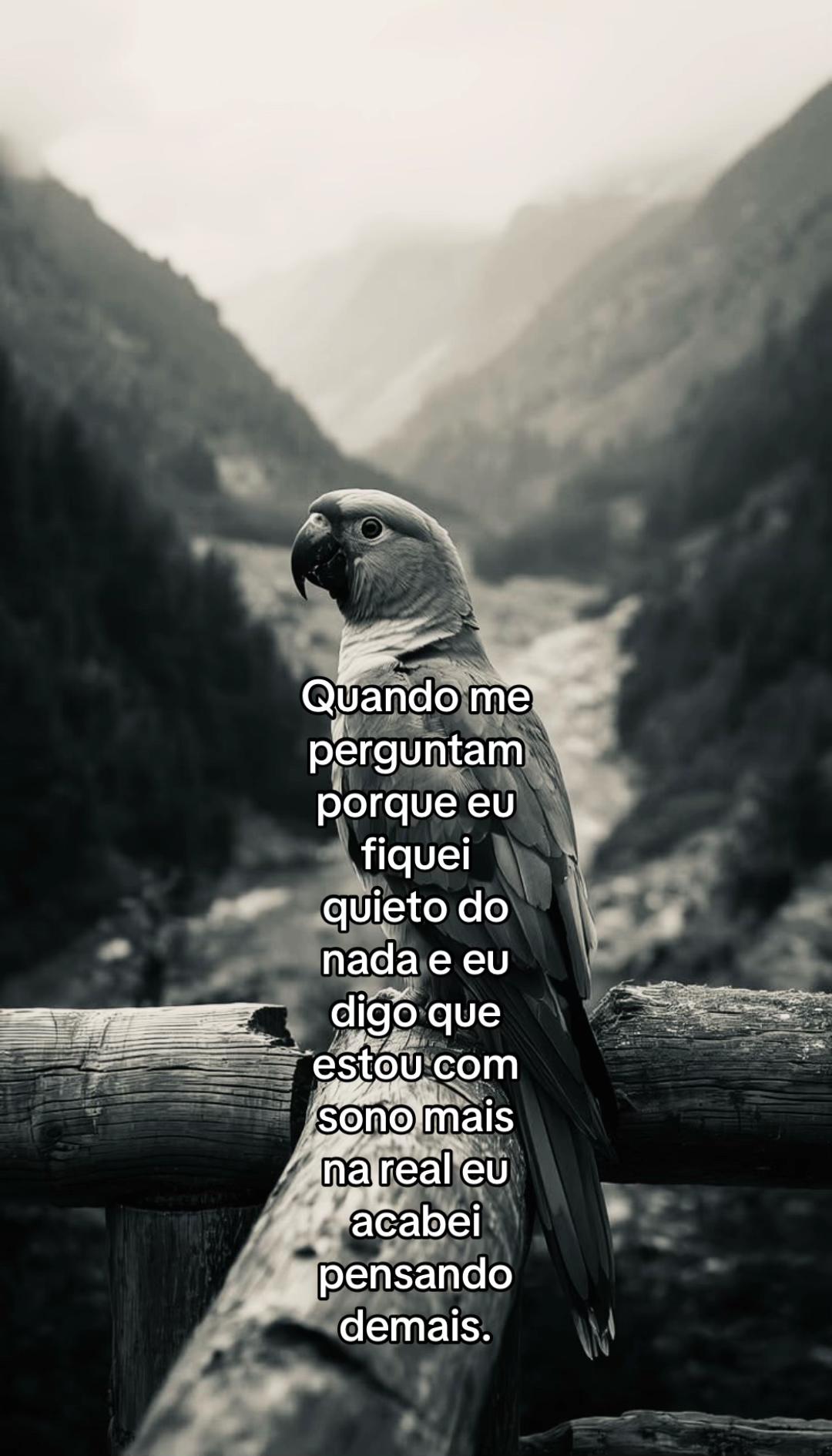 @junin 