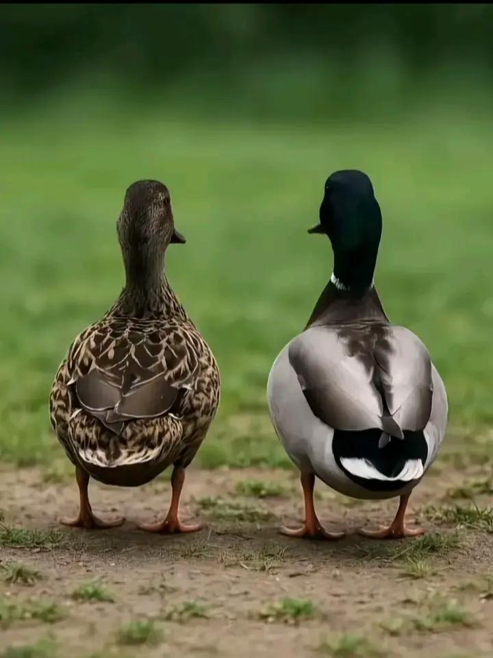 @𝙎𝙡𝙢𝙩𝙩