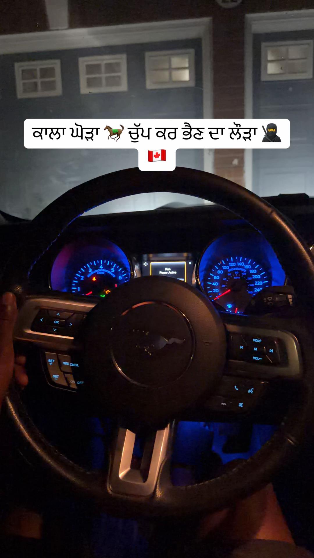 @vehlijanta761
