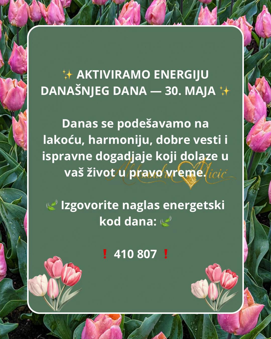 @Aleksandra Micic