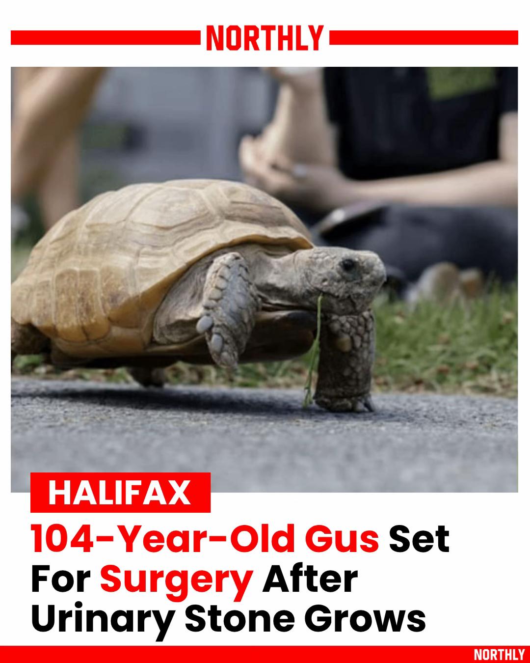 @northlyhalifax