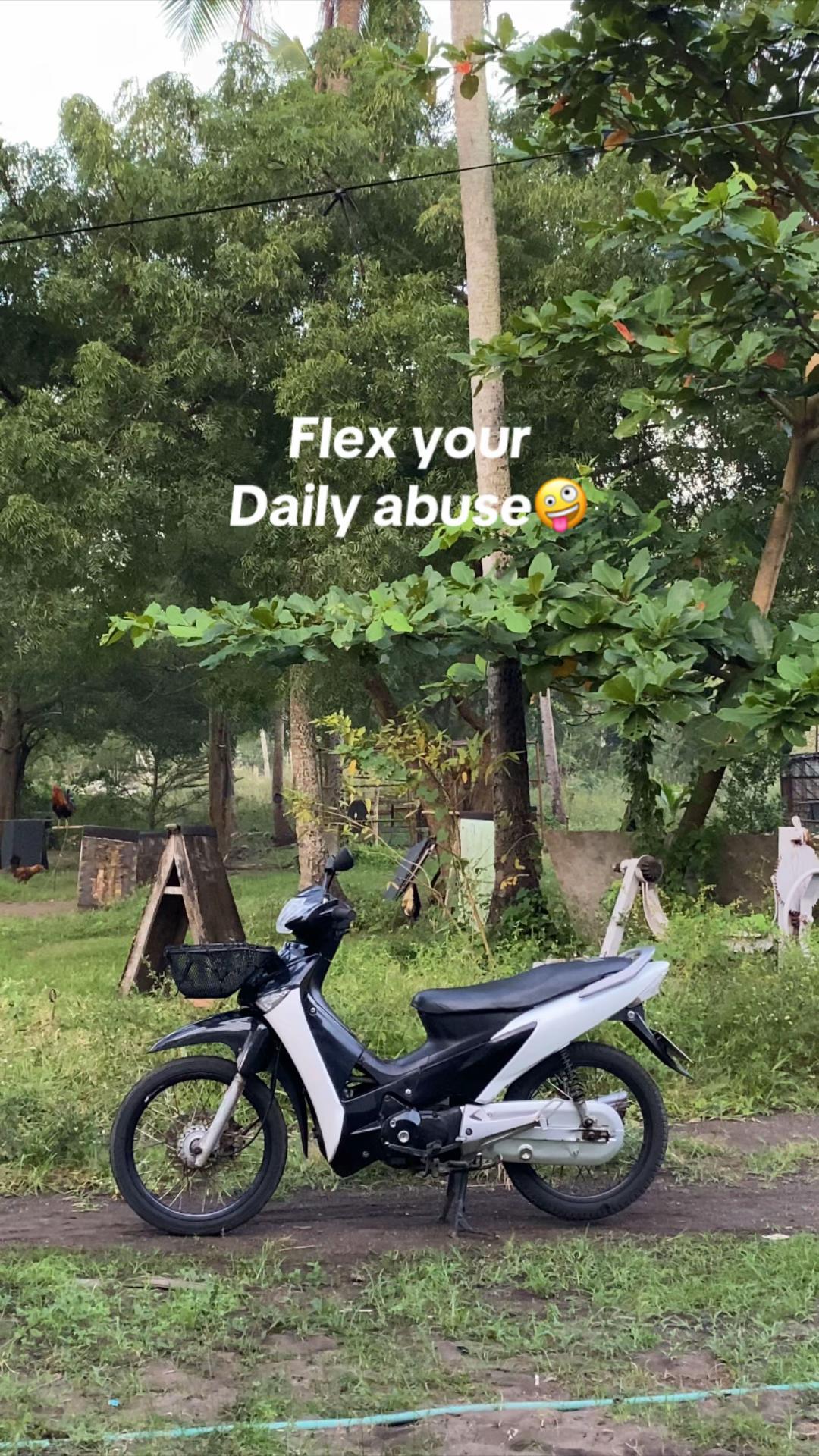 @PANDA 🐼 🌊
