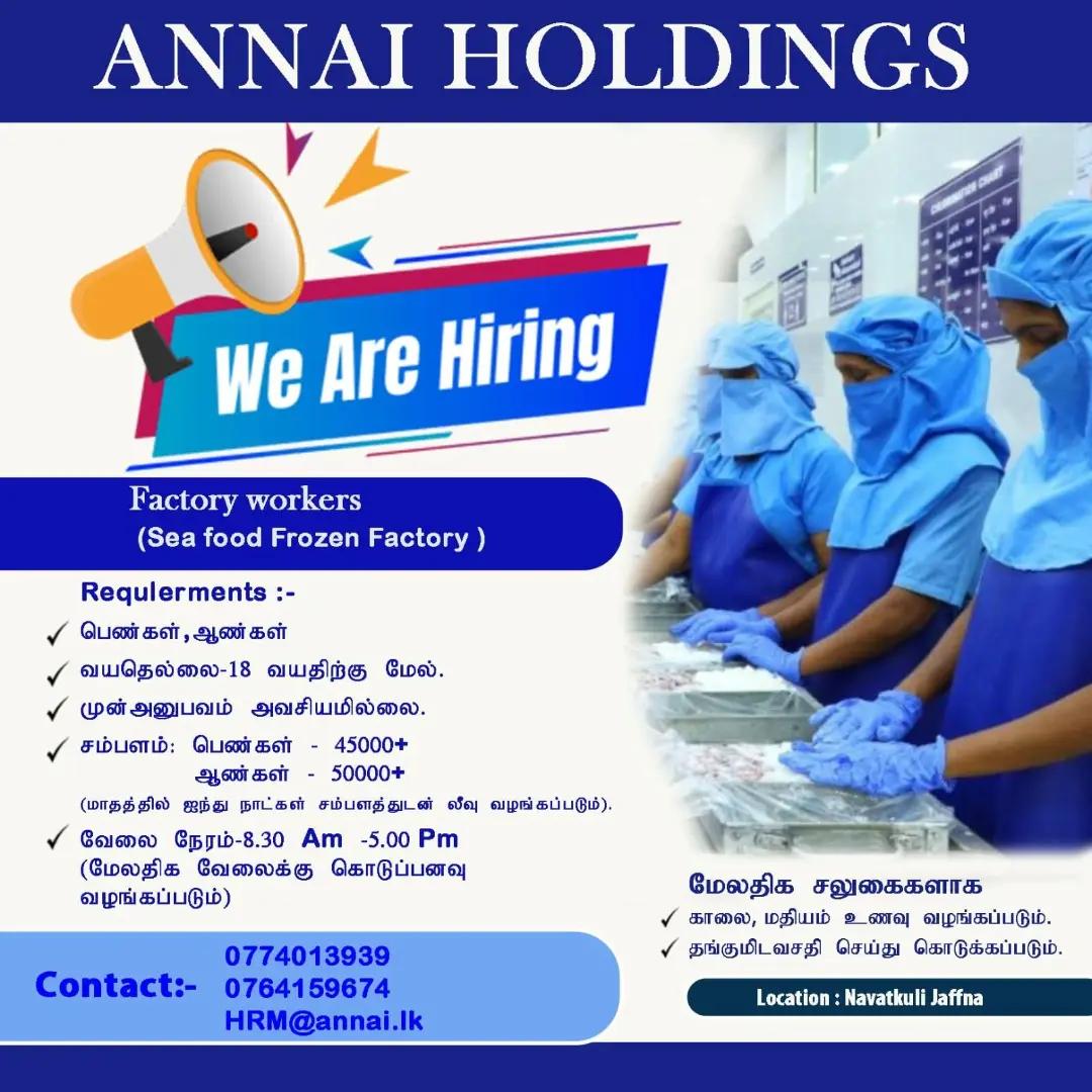 @Yarl Zone