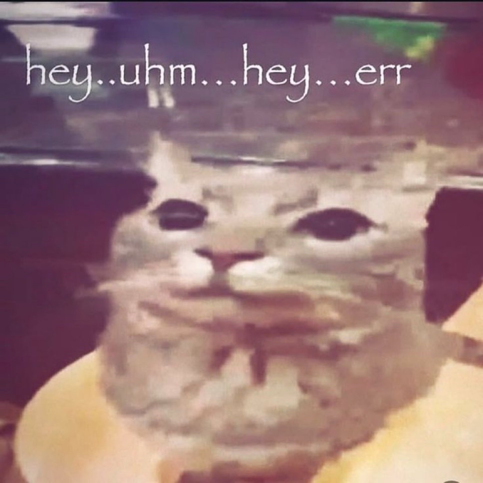 @sesame