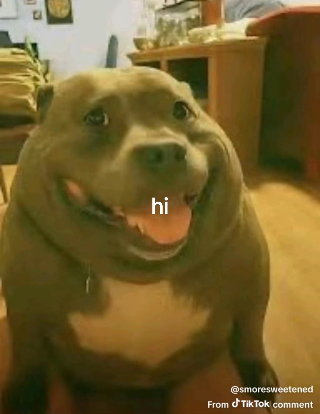 @𝔏𝔬𝔞