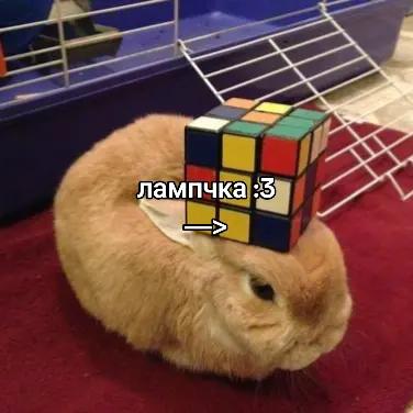 @чокопао 🍅