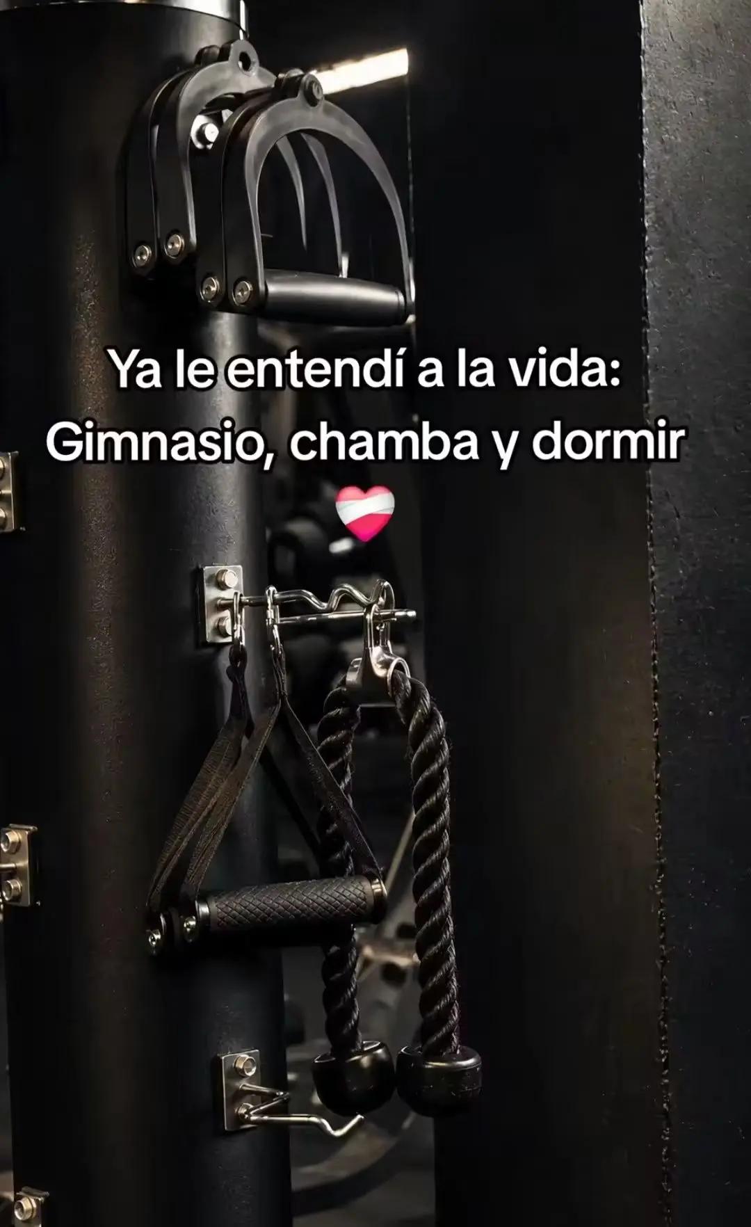 @Lucy Almaguer