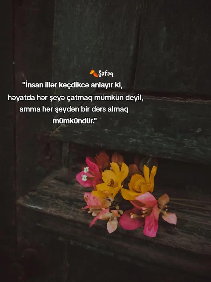 @🍂ŞƏFƏQ🍂