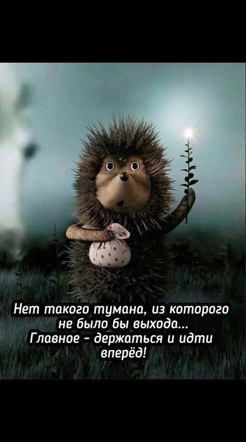 @🌊На одной волне 🌊