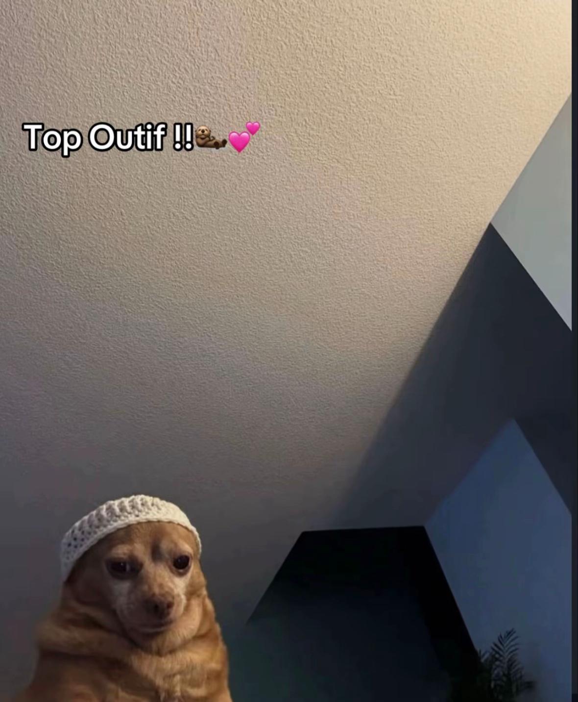 @🇸🇳 ✪