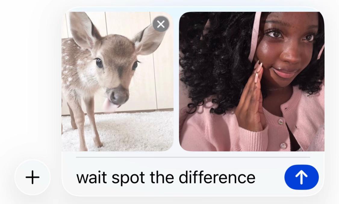 @maemae