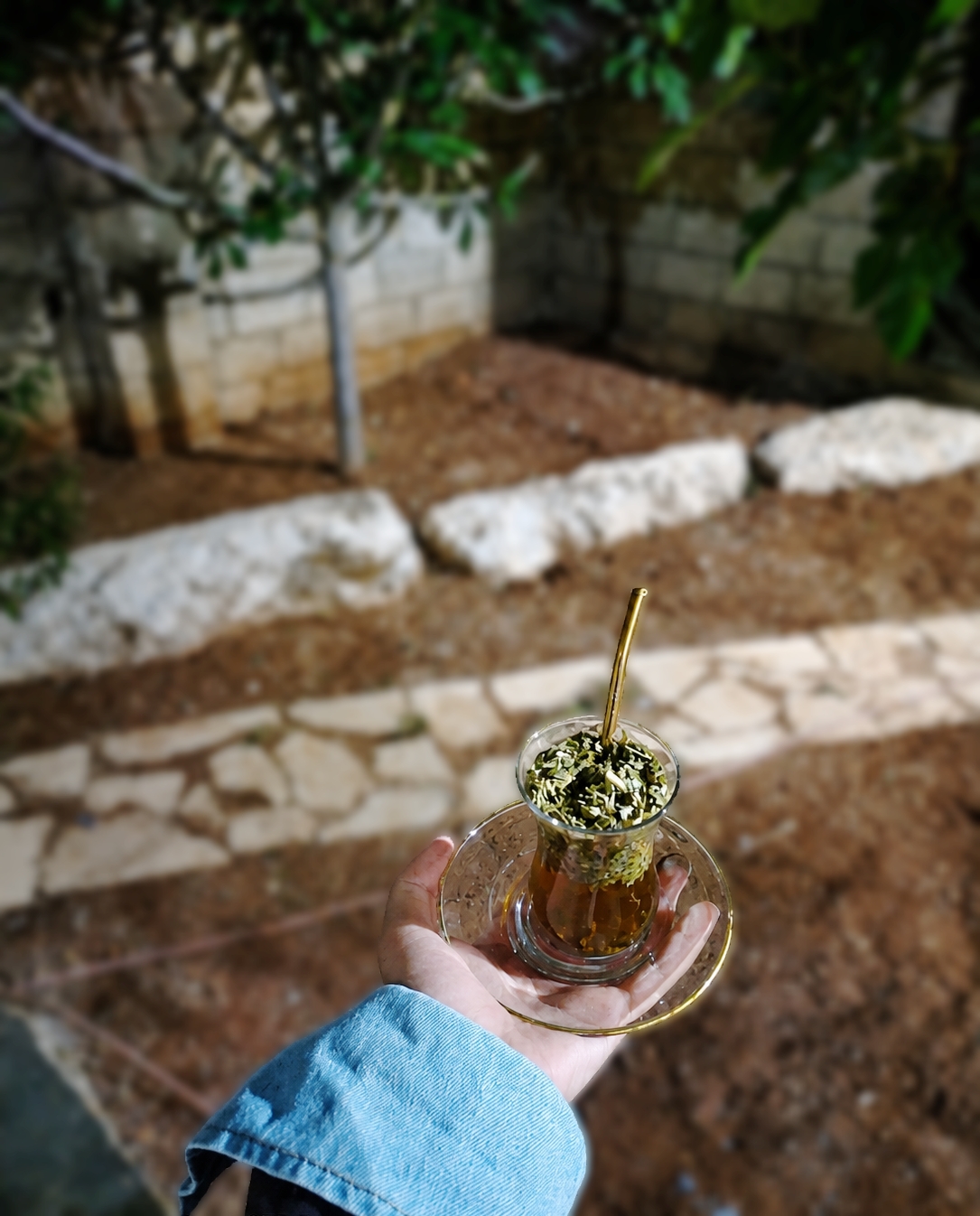 @🦋𝐑𝐨𝐥𝐚