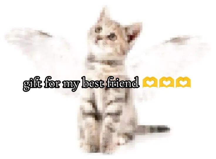 @K&sigma;kich1 ♱he &beta;&alpha;rd 🦄