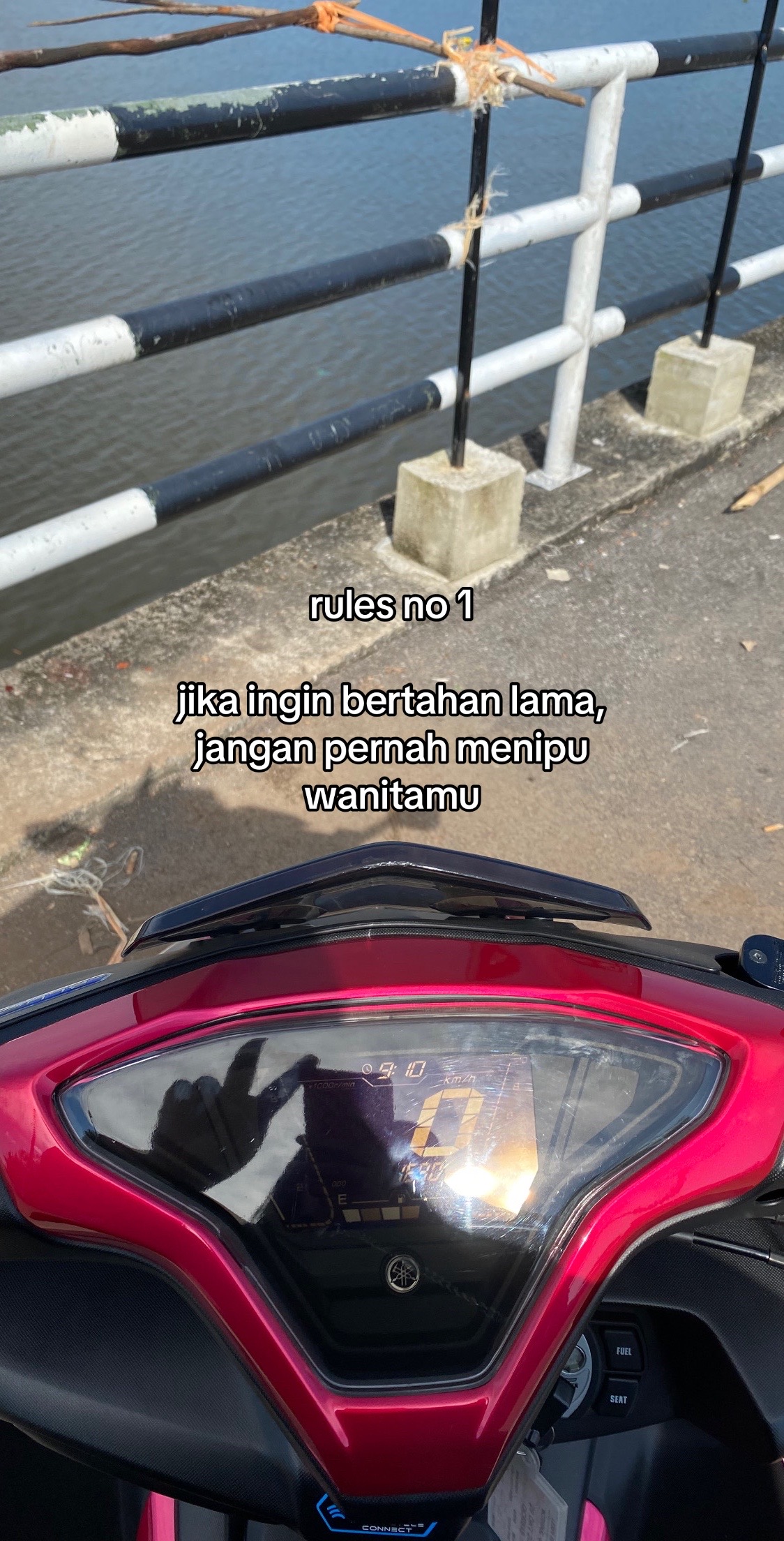@๐๐ฒ๐ช๐๐ธ๐พ