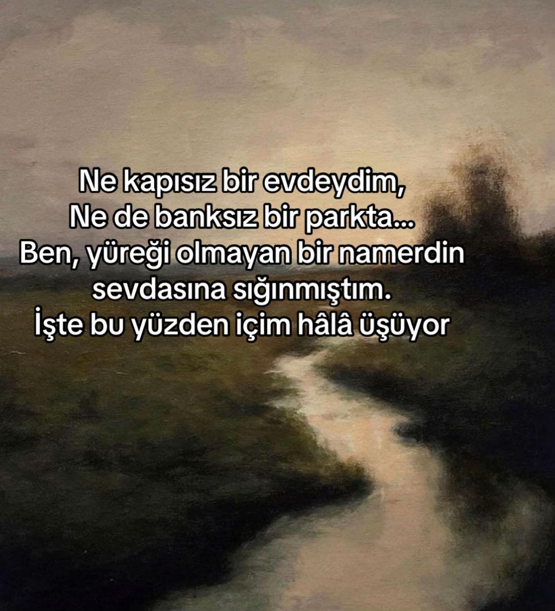 @sessiz.hislerr