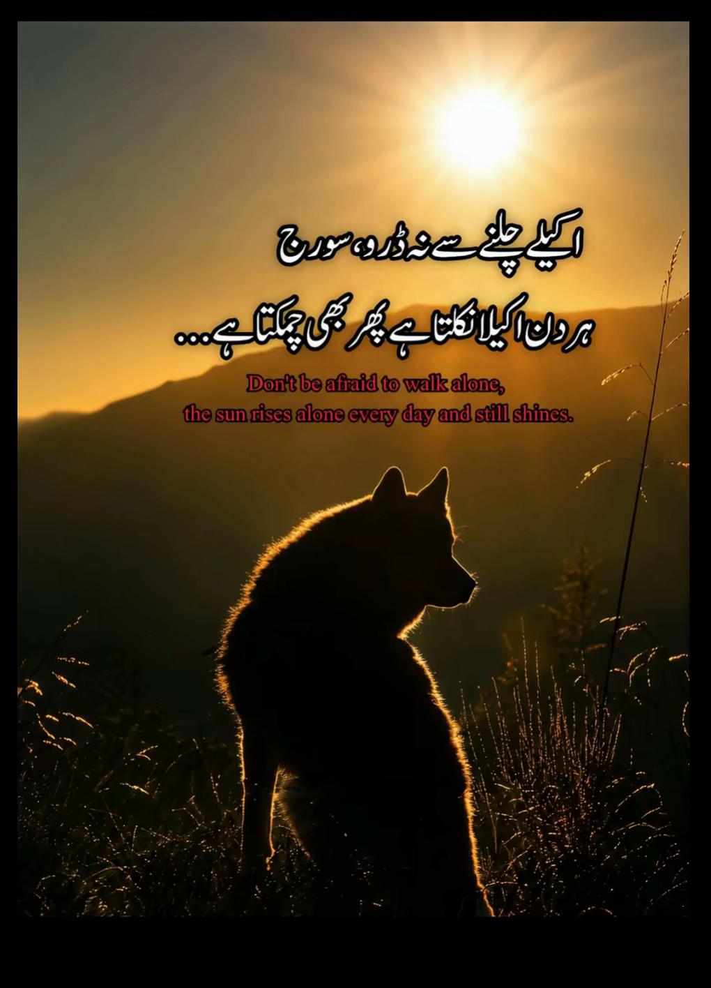 @Attiq khan