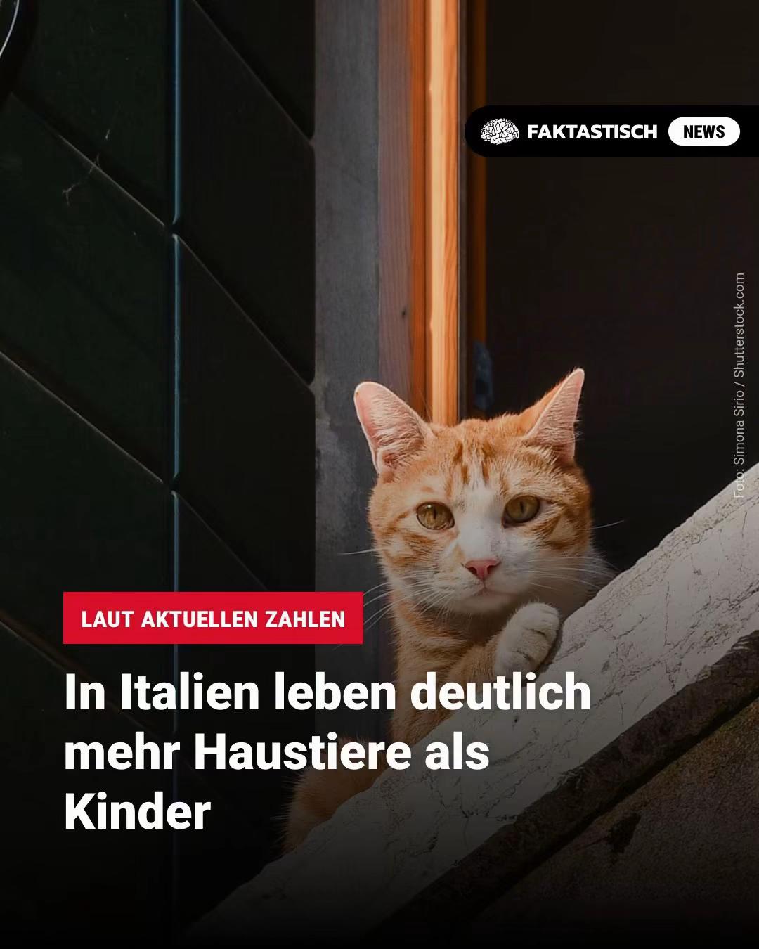 @Faktastisch