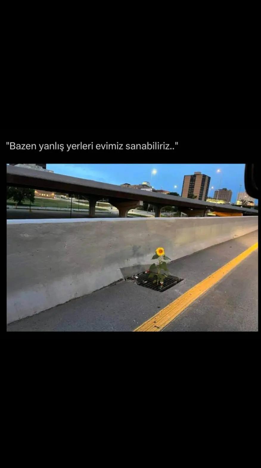 @özlem yanteri