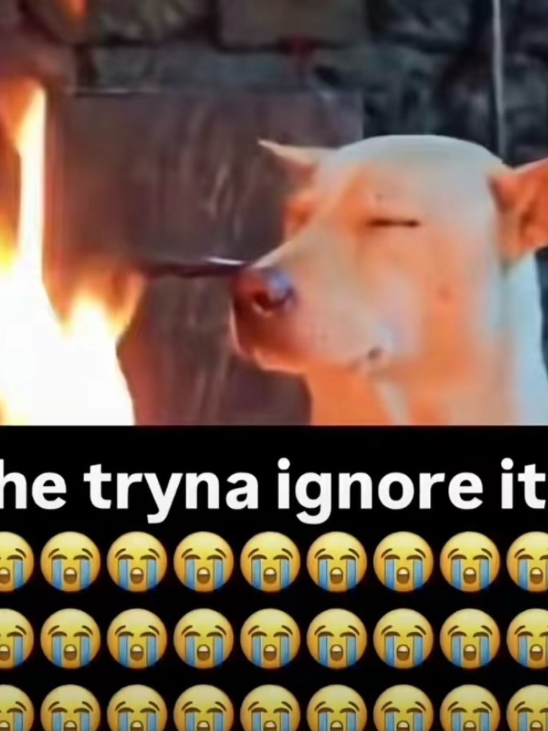 @will