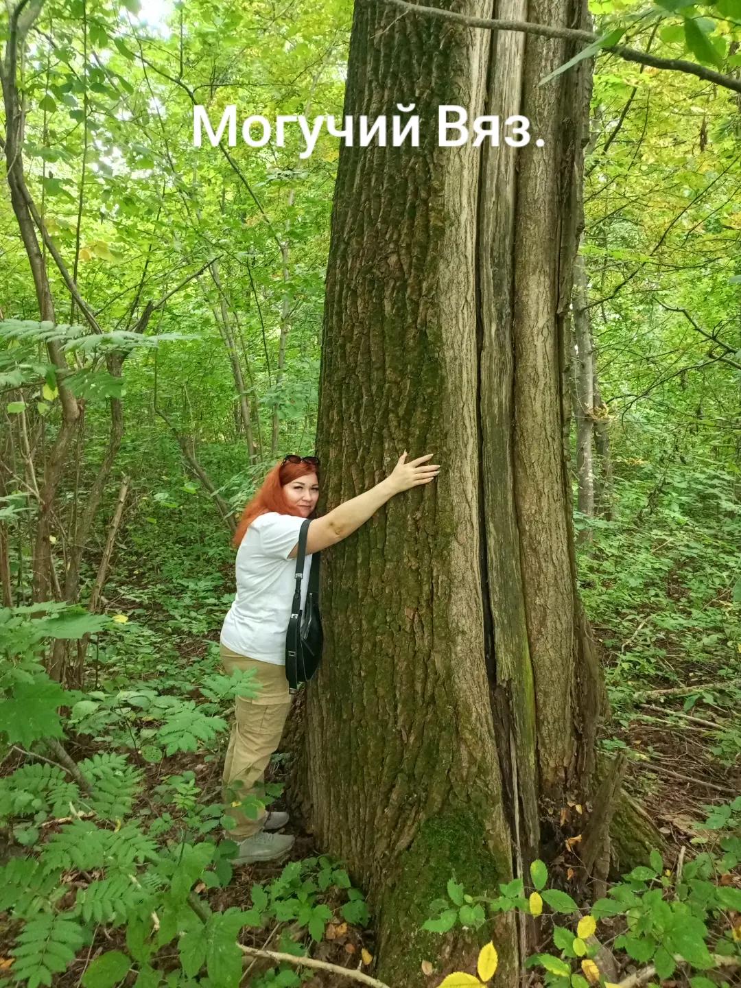 @Лëса